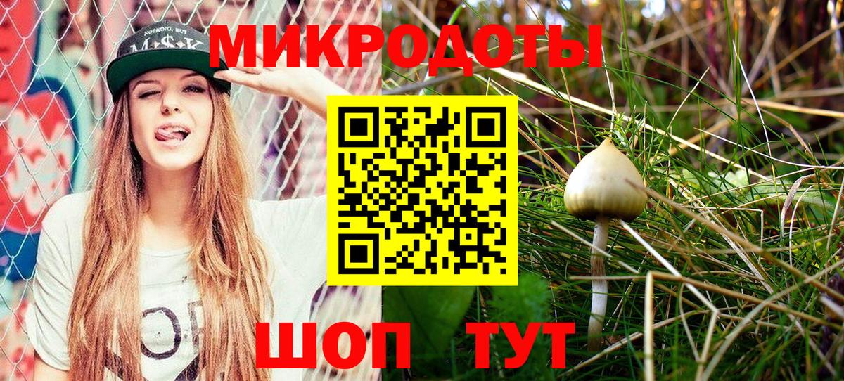 Мирный  Псилоцибиновые грибы Psilocybe  Вход с VPN 